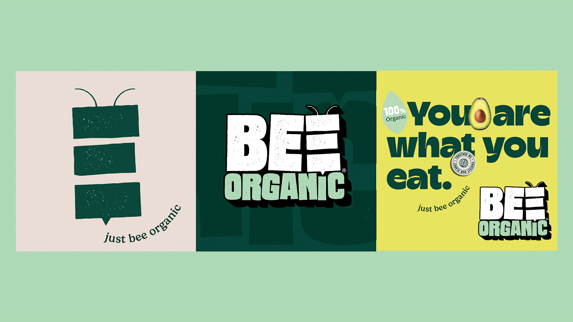 Design, Identity & Content Systems