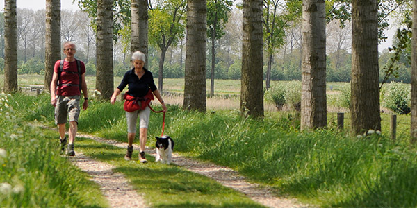 SUPERREBEL IS OPEN OVER ZEELAND.