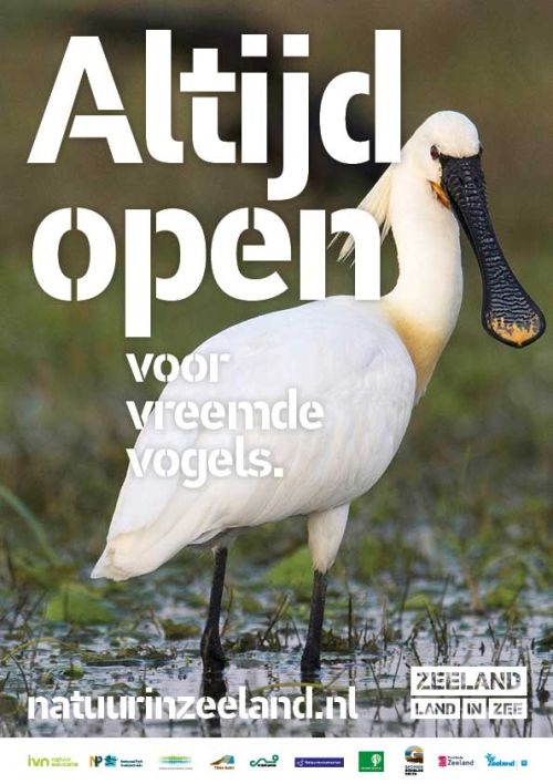 SUPERREBEL IS OPEN OVER ZEELAND. 