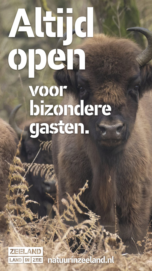 ZEELAND STAAT OPEN VOOR SUPERREBEL. 