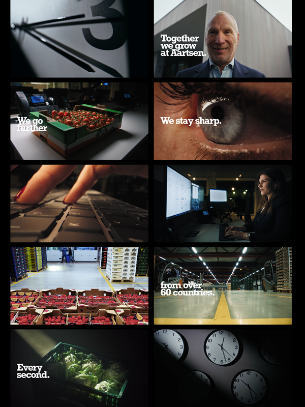 VAN SITESEEING GA JE SNELLER GROEIEN . 