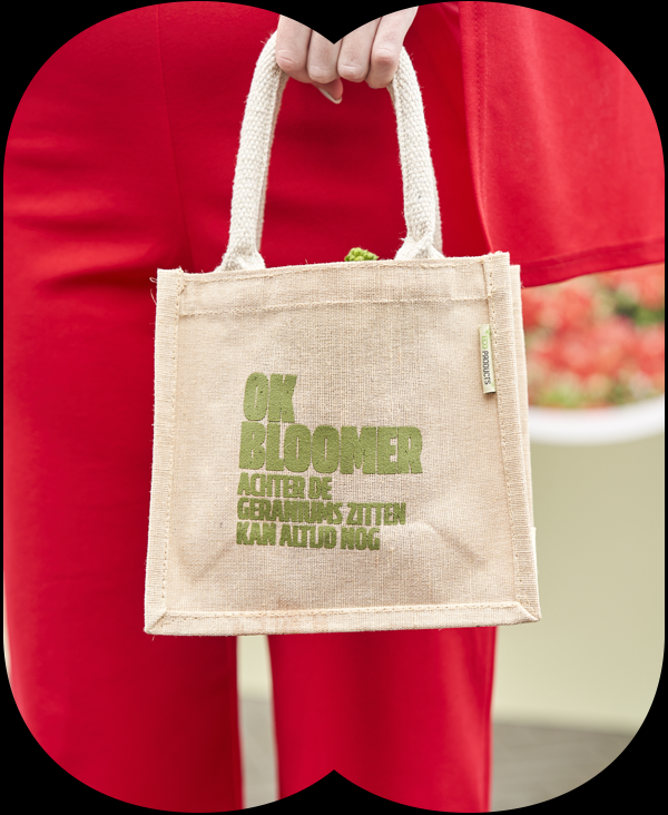 OK BLOOMER, ACHTER DE GERANIUMS KAN ALTIJD NOG. 