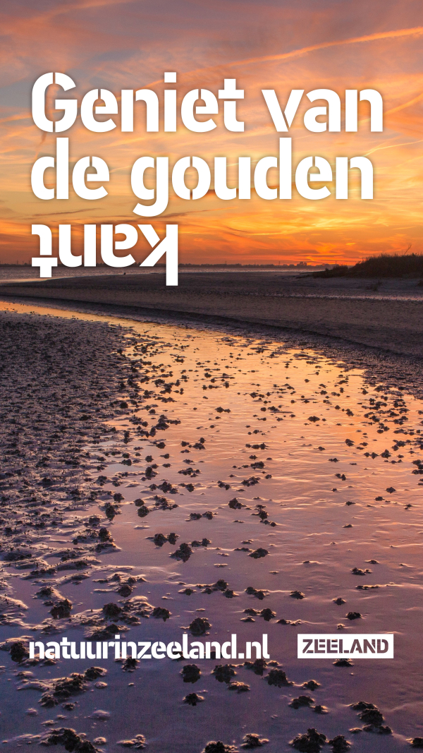 De Zeeuwse Natuur laat zich weer van de mooiste kant zien. 